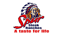 SPUR SOARING EAGLE logo